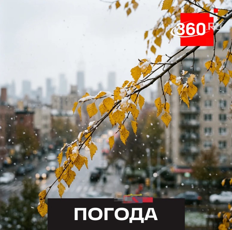 Фото