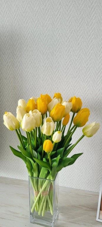 Фото