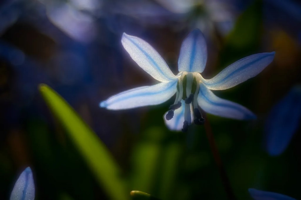 Фото