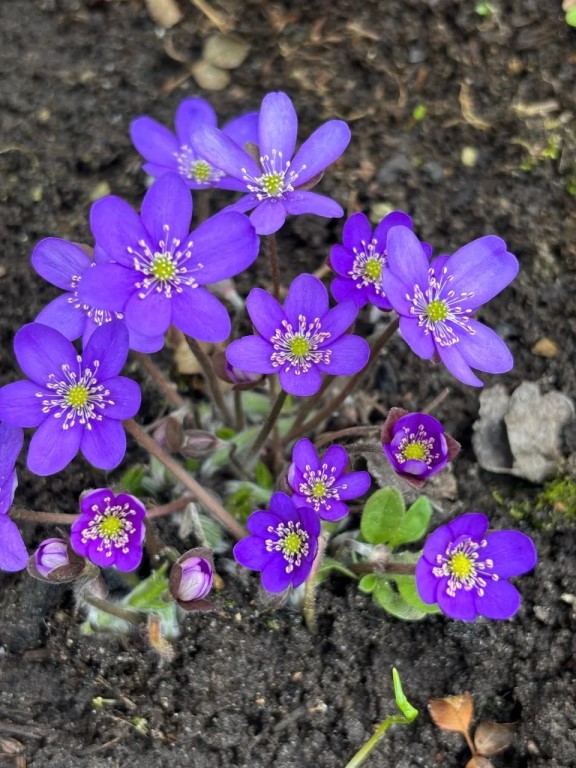 Фото