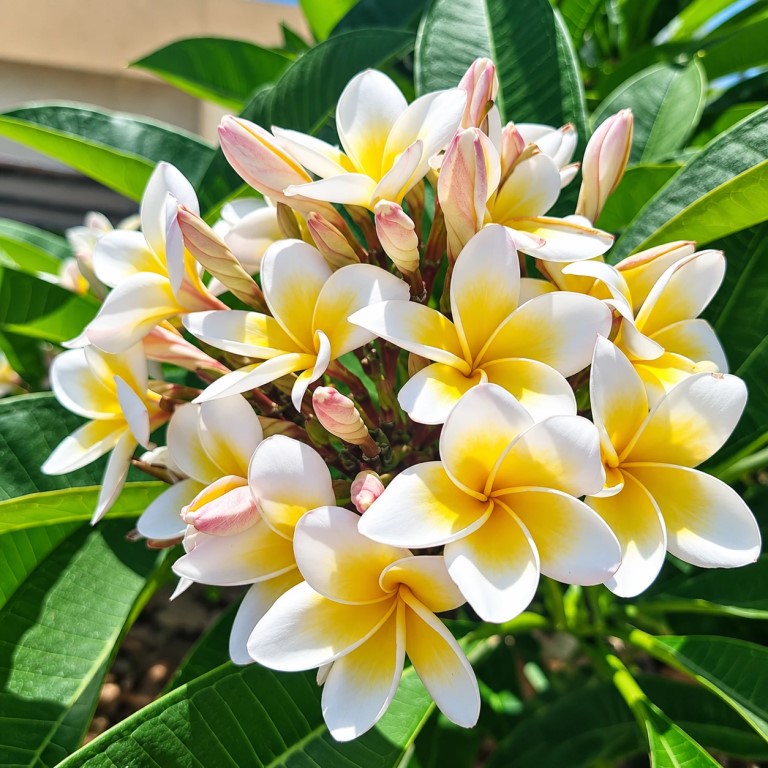 Фото