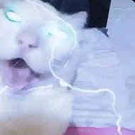 КАРТИНКИ ИЗ ТИК ТОК