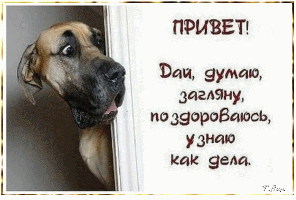 ❤️ Дарим эмоции по МАКСимуму ✨