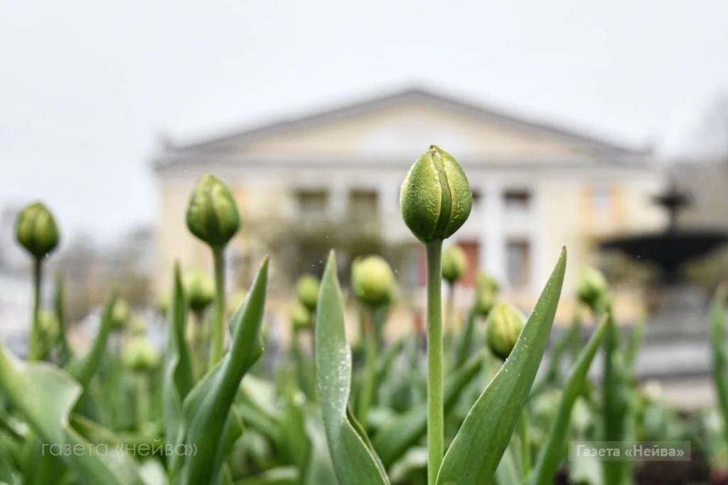 Фото