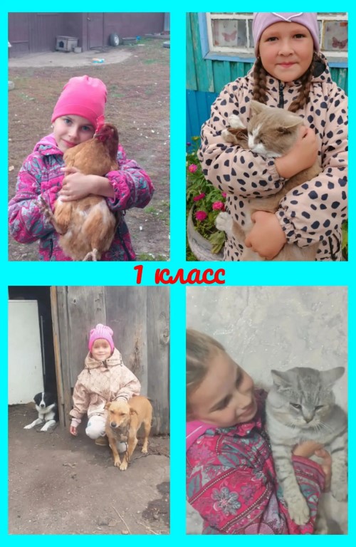 Фото
