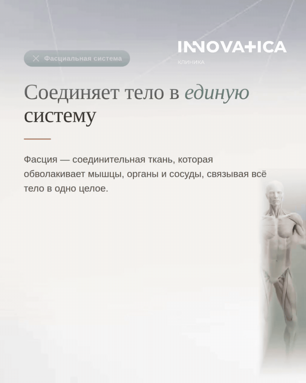 Ваше тело — это не набор отдельных органов, а единая система 😖