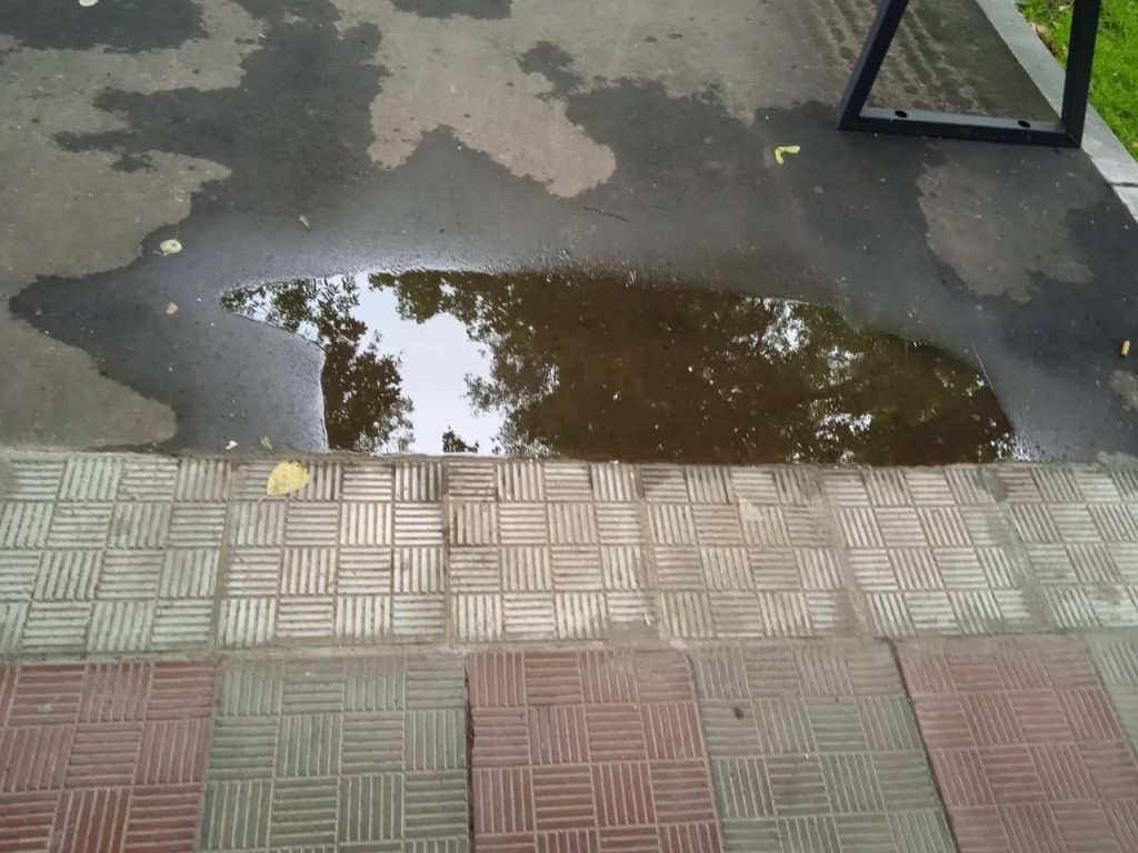 Фото