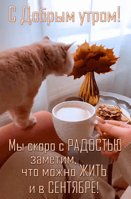 👉открытки с днем рождения👈