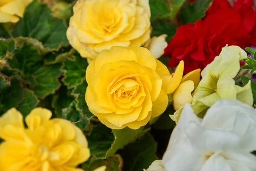 Фото
