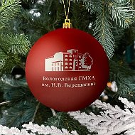 Вологодская ГМХА