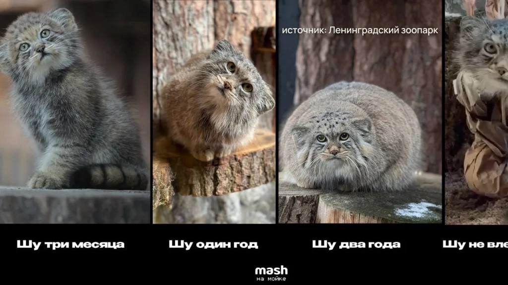 Фото