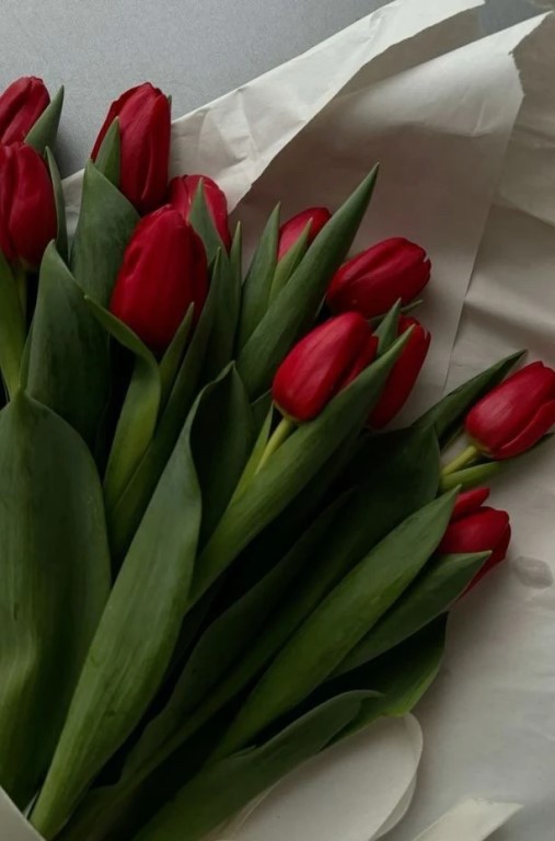 Фото