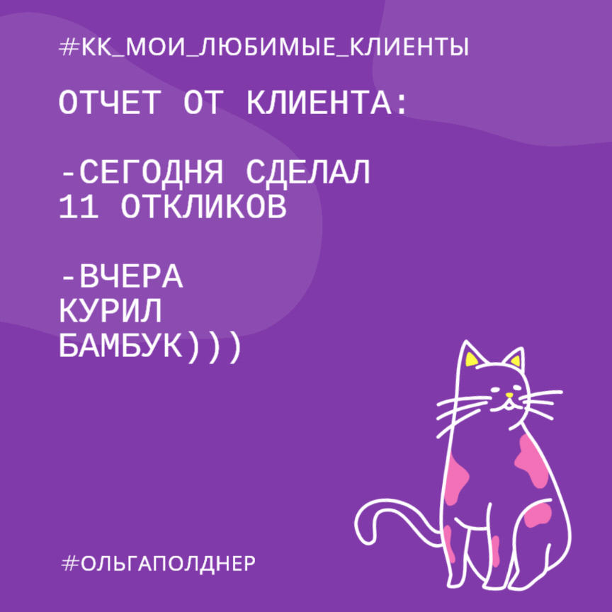#пятничные_котики