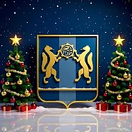 Министерство ЖКХ и энергетики НСО