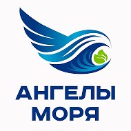"АНГЕЛЫ МОРЯ" - Общественная инициатива (Штаб "Дельфины" Спасаем море - Александр Кирпа)