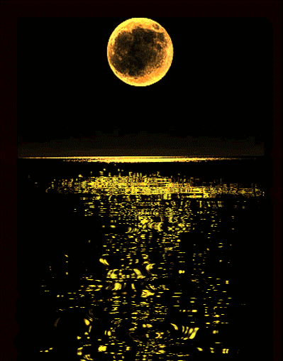 Сладких снов ✨✨🌙