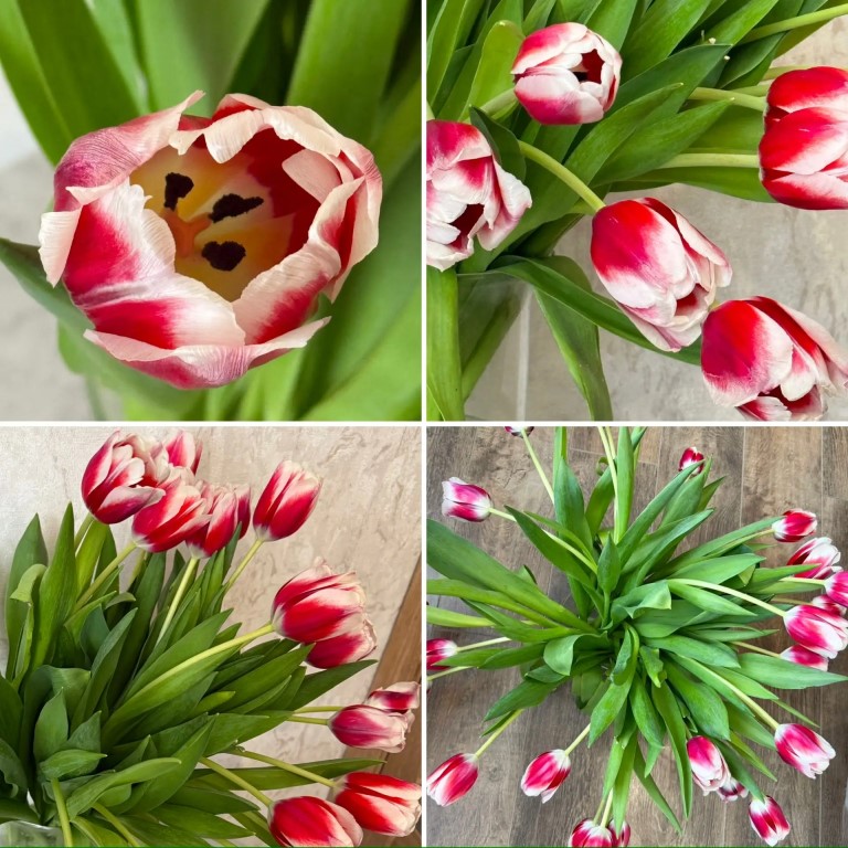 Фото