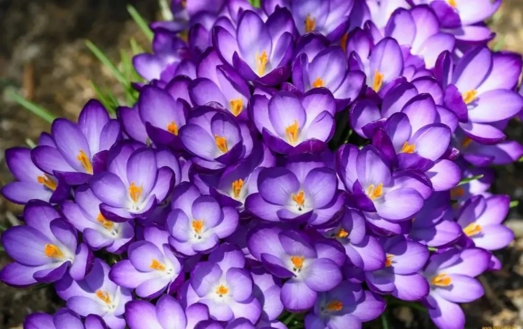 Фото