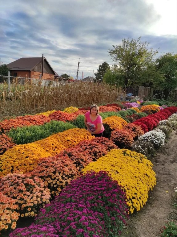 Фото
