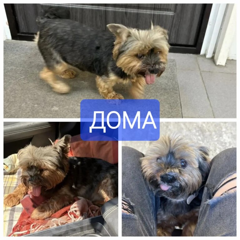 Фото