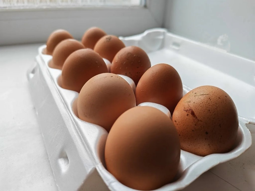 Фото