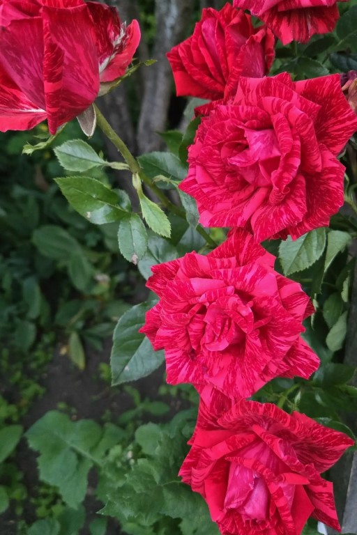 Фото