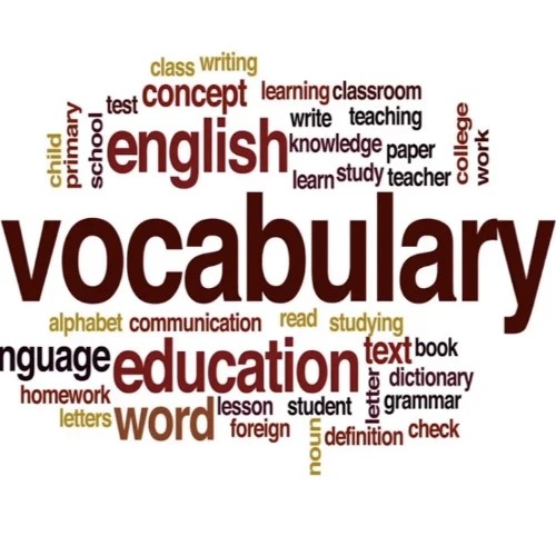 Vocabulary Drill