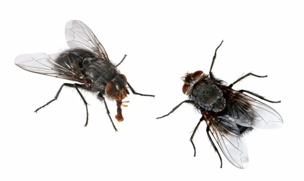 Фото