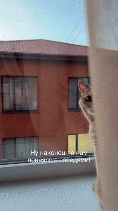 Добрый Мурзик 😻