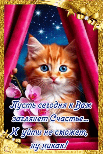 Канал Весёлые картинки!