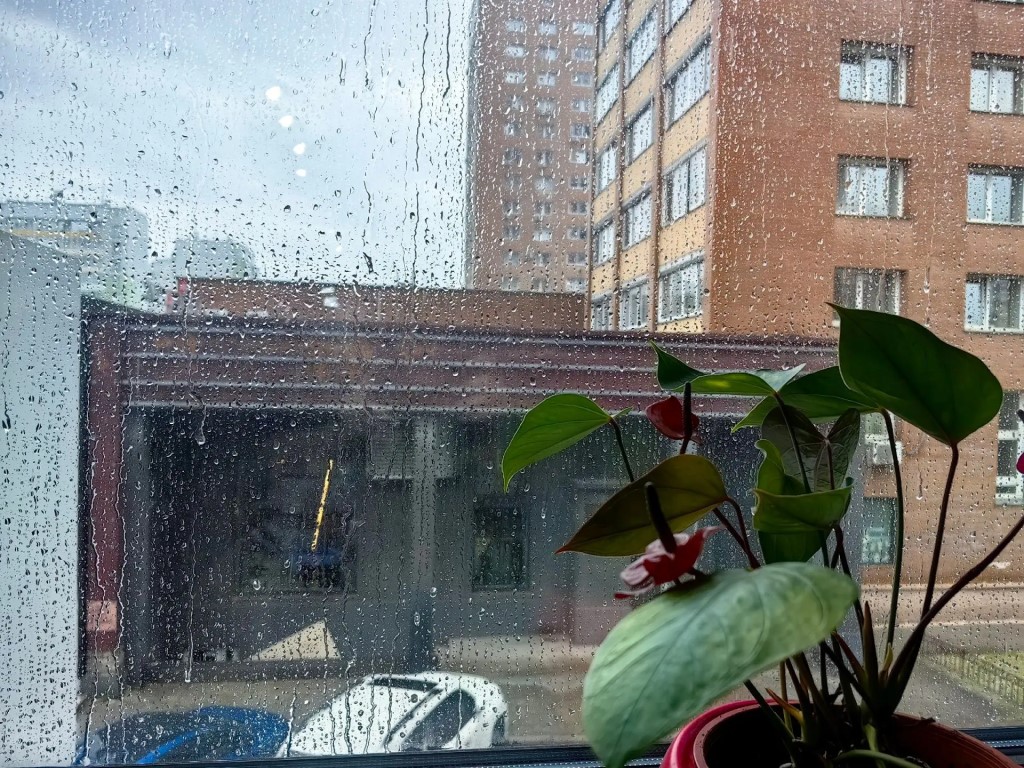 Фото