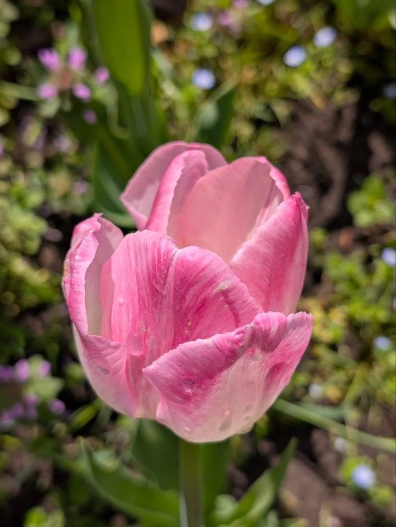 Фото