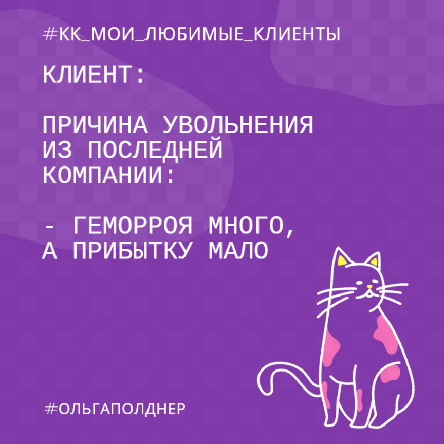 #пятничные_котики