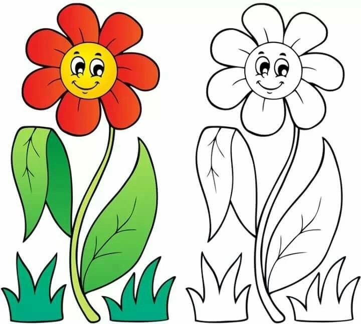 Фото