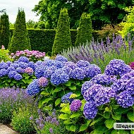 🌿 Сад для занятых: лайфхаки, уход, растения.