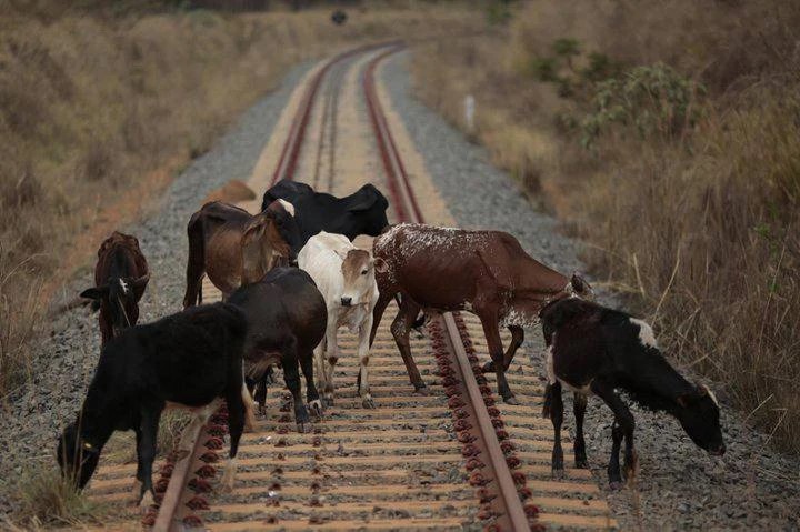 Фото