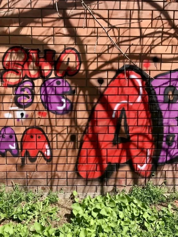 Фото