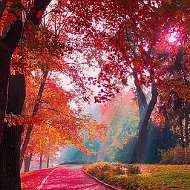 Красота в деталях