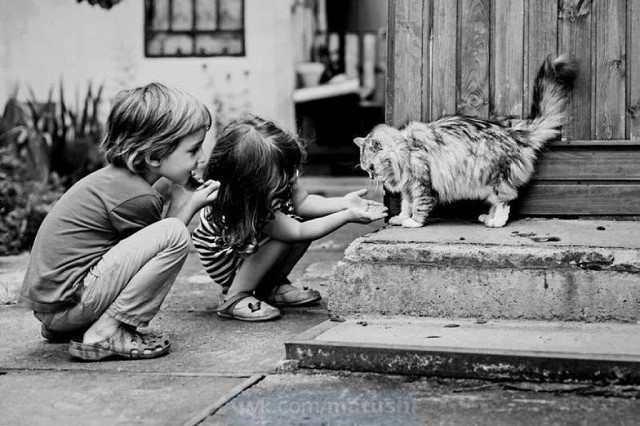 Фото
