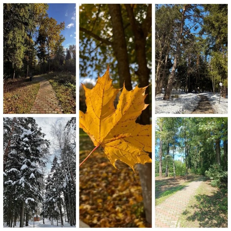 Фото