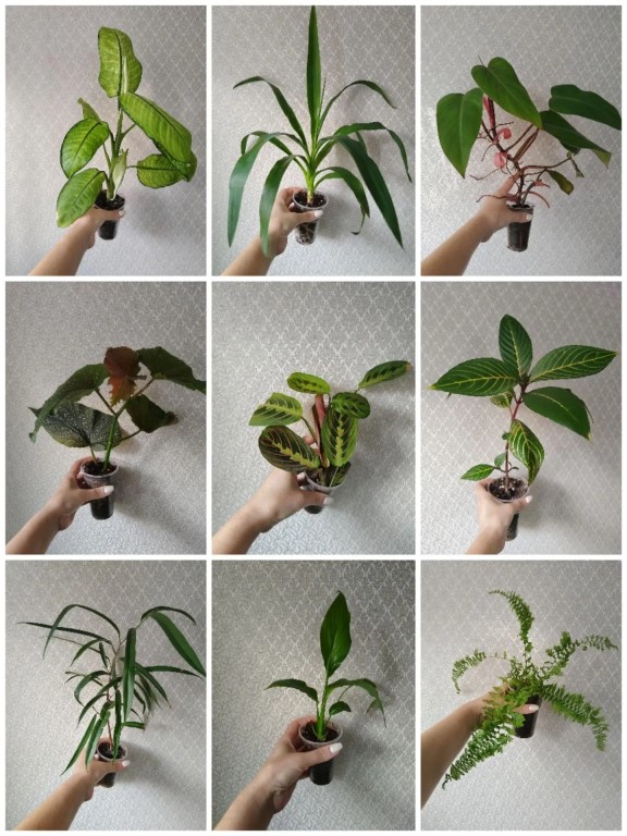 Фото