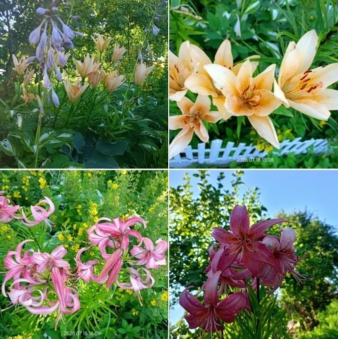Фото