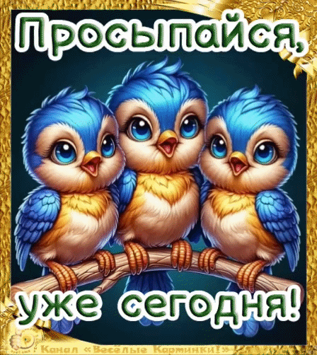 Канал Весёлые картинки!