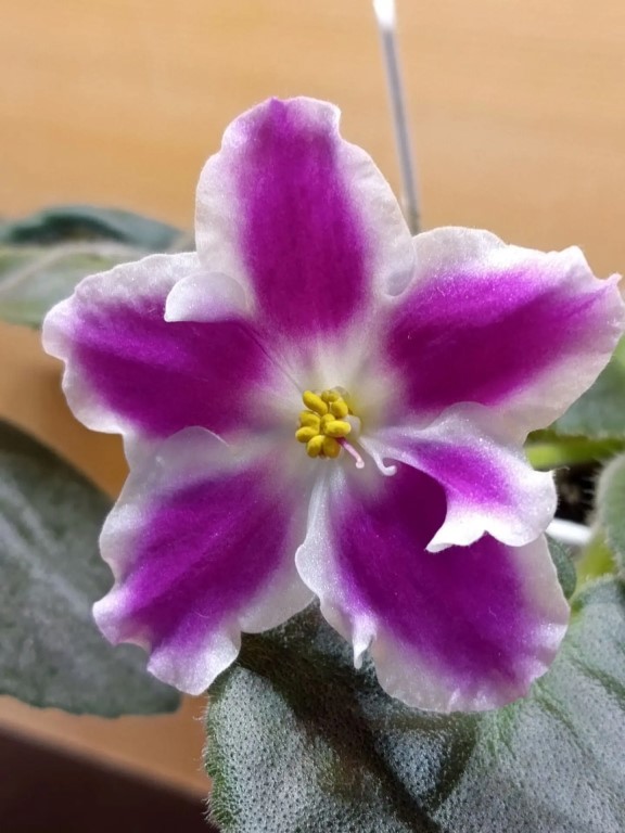 Фото