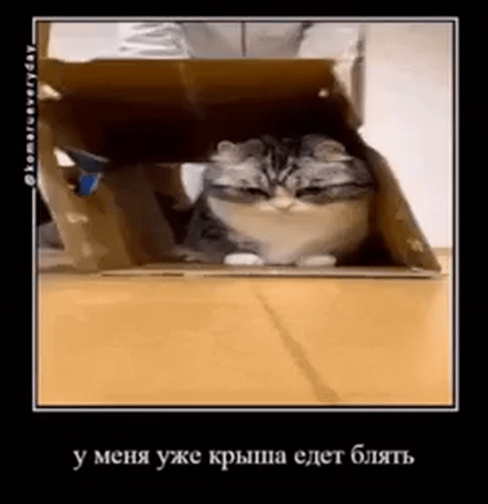 Гифки