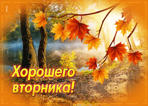 Всем доброе утро! Погода сегодня +7🌥🌥🌤🌞🌞в ночные часы до 3. Вам всем хорошего дня ...