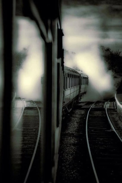 Фото