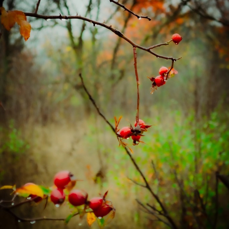 Фото