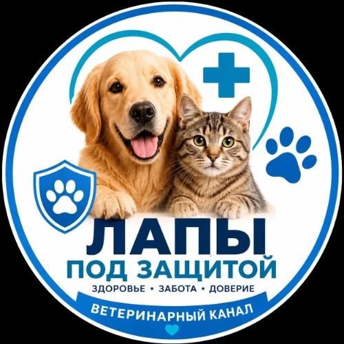 vet_bot — канал в мессенджере MAX