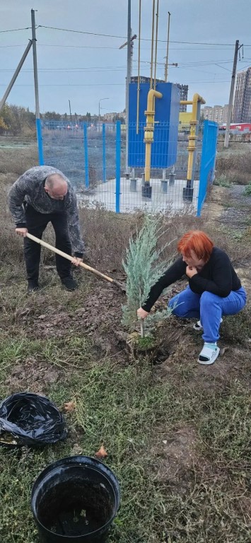 Фото
